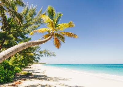 AIDA- Karibik Bahamas - Reisebüro Happyday